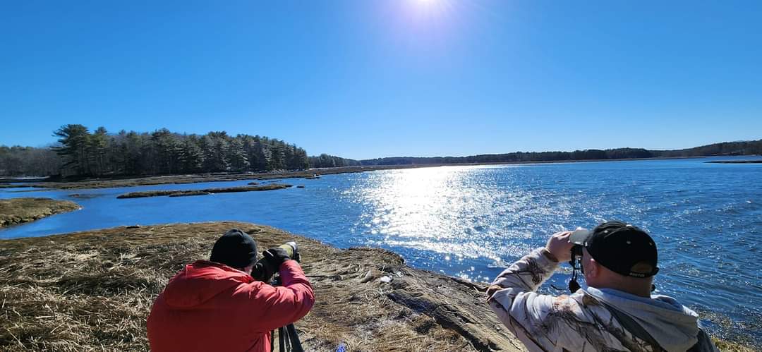 Birding Adventures with Birding_Cheezer